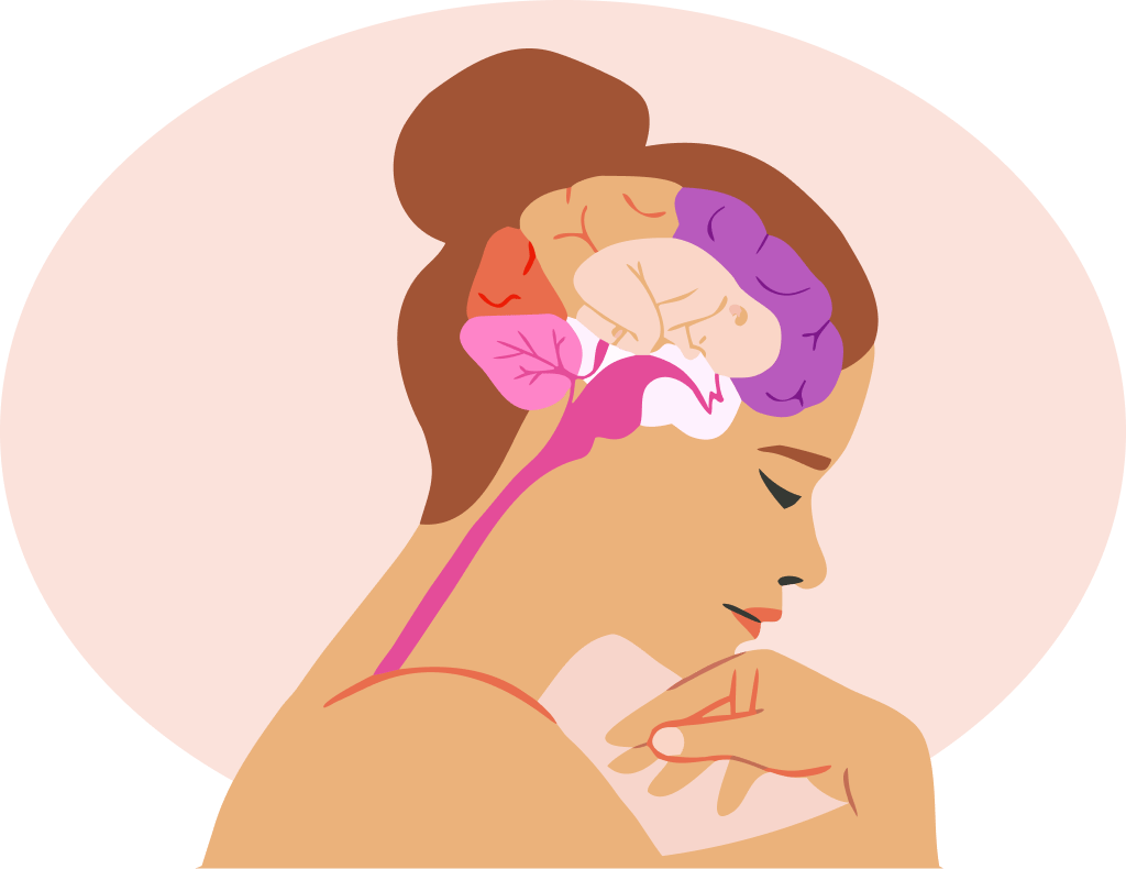 Illustration of a person in a thoughtful pose with a stylized brain visible inside the head, regions highlighted in pink, coral and purple